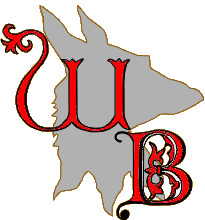 Official WmBlackfox award logo